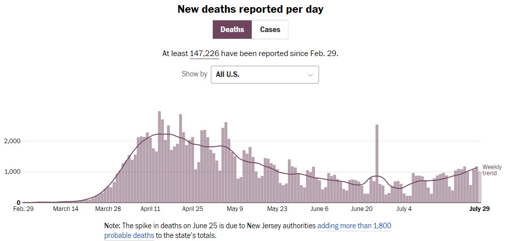COVID deaths since Feb as of July 29.jpg